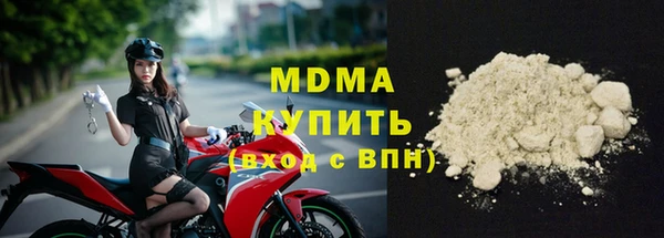 молекула духа Богданович